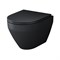 Унитаз подвесной AM.PM Spirit 2.0 безободковый FlashClean с черным сиденьем микролифт (C701700MBSC) - фото 466662